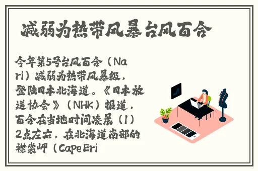 亚洲无内丝袜**无圣光